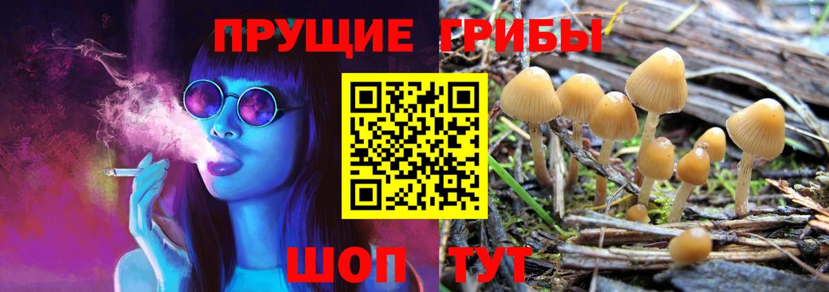 Псилоцибиновые грибы Magic Shrooms  Псилоцибиновые грибы Psilocybe  Вход с VPN  Чусовой 